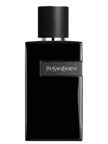 pubblicità yves saint laurent uomo 2021|SAINT LAURENT .